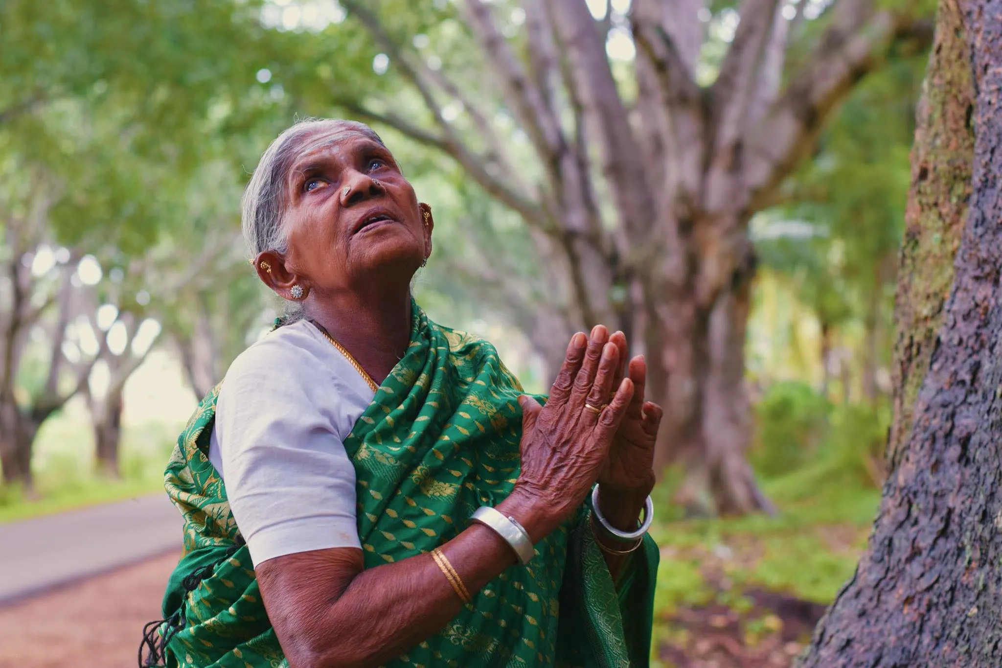 Eco Warrior Saalumarada Thimmakka at 111 Gets Cabinet Rank - IndiaWest ...