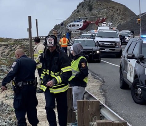 Indian-American refuses to enter a guilty plea after the Tesla crash