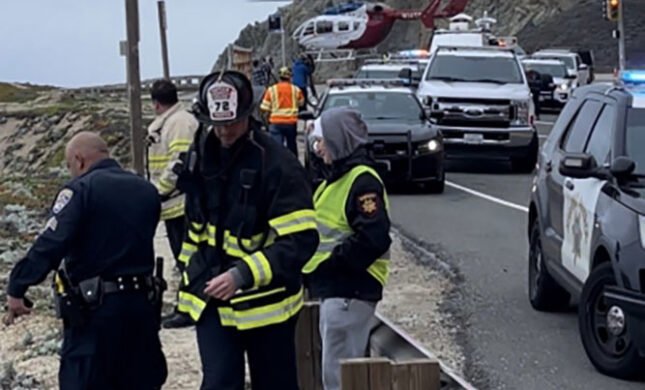 Indian-American refuses to enter a guilty plea after the Tesla crash