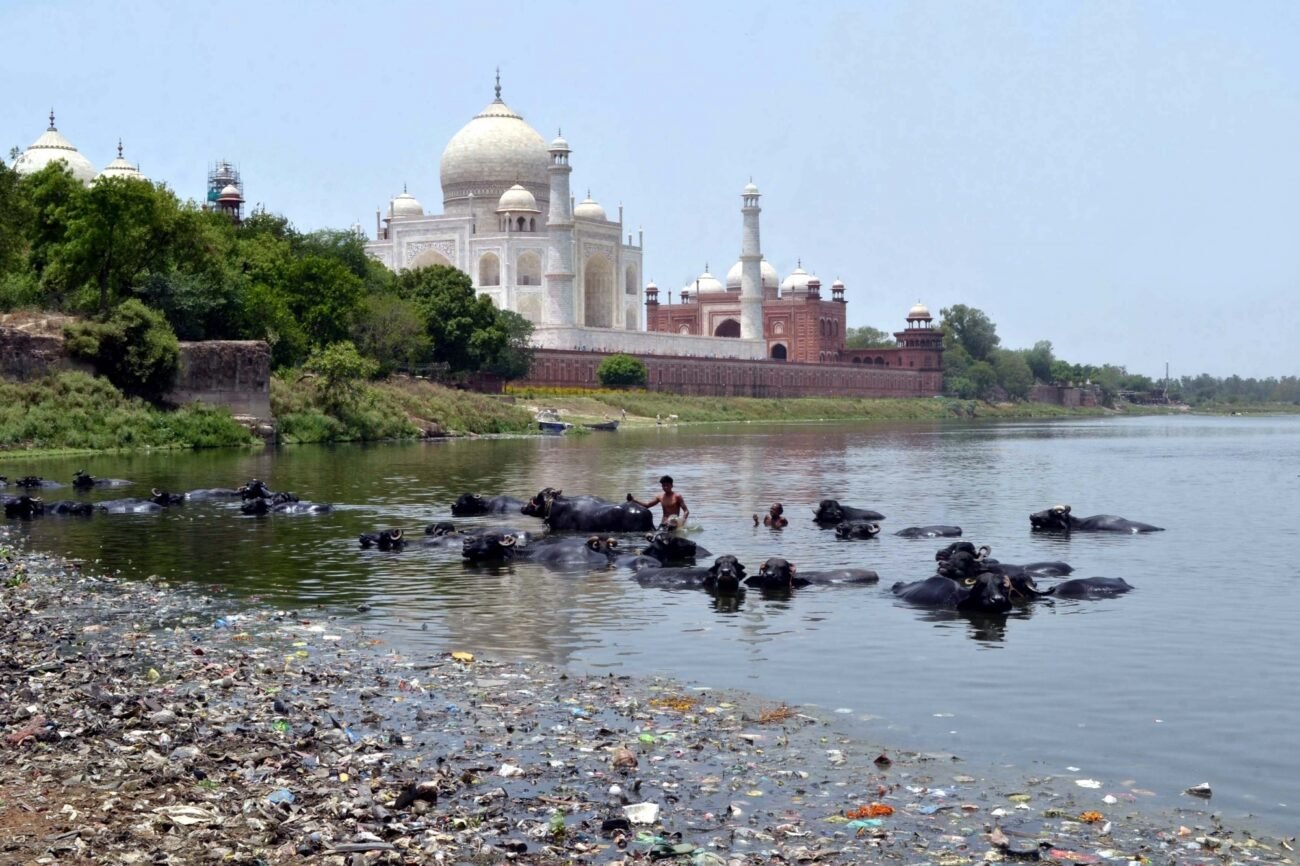 Polluted-Yamuna-Tops-Agras-List-of-Woes-India-West-IndiaWest