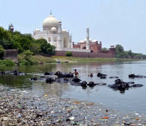 Polluted-Yamuna-Tops-Agras-List-of-Woes-India-West-IndiaWest