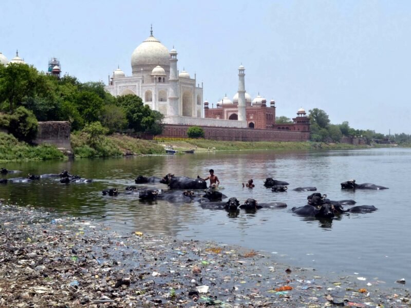Polluted-Yamuna-Tops-Agras-List-of-Woes-India-West-IndiaWest