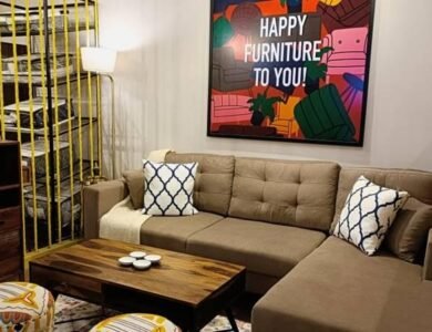 Take-Care-Of-Your-Precious-Furniture-IndiaWest-India-West
