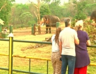 Tourists-Flock-to-Theppakadu-After-Oscar-For-The-Elephant-Whisperers-IndiaWest-India-West