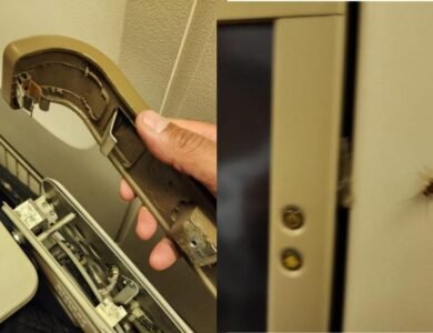 UN-Diplomat-Complains-Of-Broken-Seats-Cockroaches-On-NY-Delhi-Air-India-Flight-IndiaWest-India-West