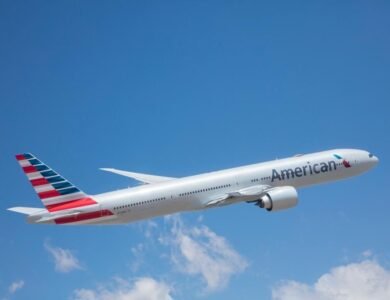 Another-One-Indian-On-American-Airlines-Pees-On-Passenger-IndiaWest-India-West