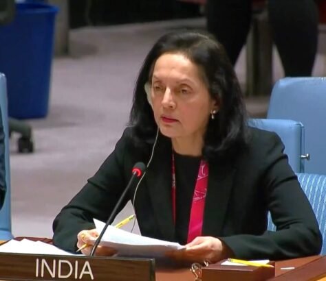India-Demands-Global-Condemnation-Of-Pakistani-Drones-Delivering-Weapons-to-Terrorists-India-West-IndiaWest