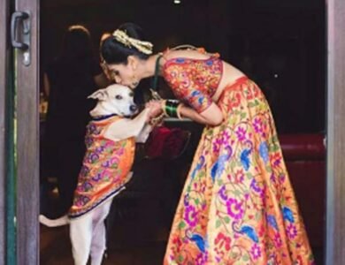 The-Rise-Of-Pet-Friendly-Indian-Weddings-IndiaWest