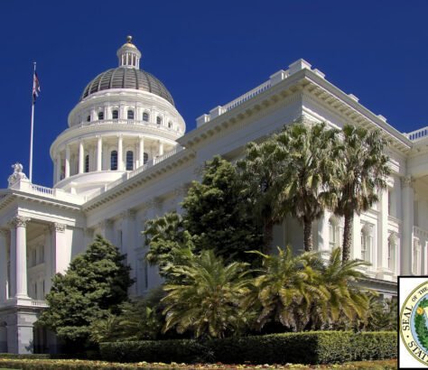 California-SB-403-Is-Caste-A-Dog-whistle-Term