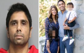 He-Tried-To-Kill-Us-Says-Wife-Of-Tesla-Driver-Dr.-Dharmesh-Patel India West