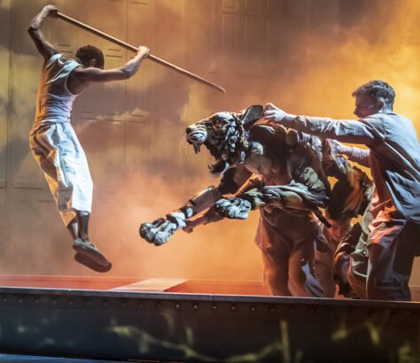 Broadways-‘Life-of-Pi-Wins-Three-Tony-Awards India West