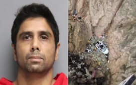 Dr. Dharmesh Patel Who Drove Tesla Off Cliff Loses License India West