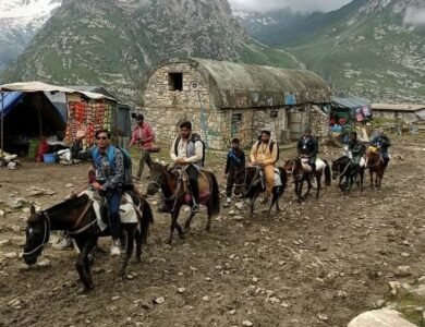 Samosas-Jalebis-Pizzas-Burgers-Banned-During-Amarnath-Yatra India West