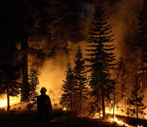 The Climate Crisis India West