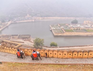 At-Rajasthans-Amer-Fort-Elephant-Gouris-Rides-Halted. India West