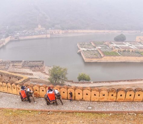 At-Rajasthans-Amer-Fort-Elephant-Gouris-Rides-Halted. India West