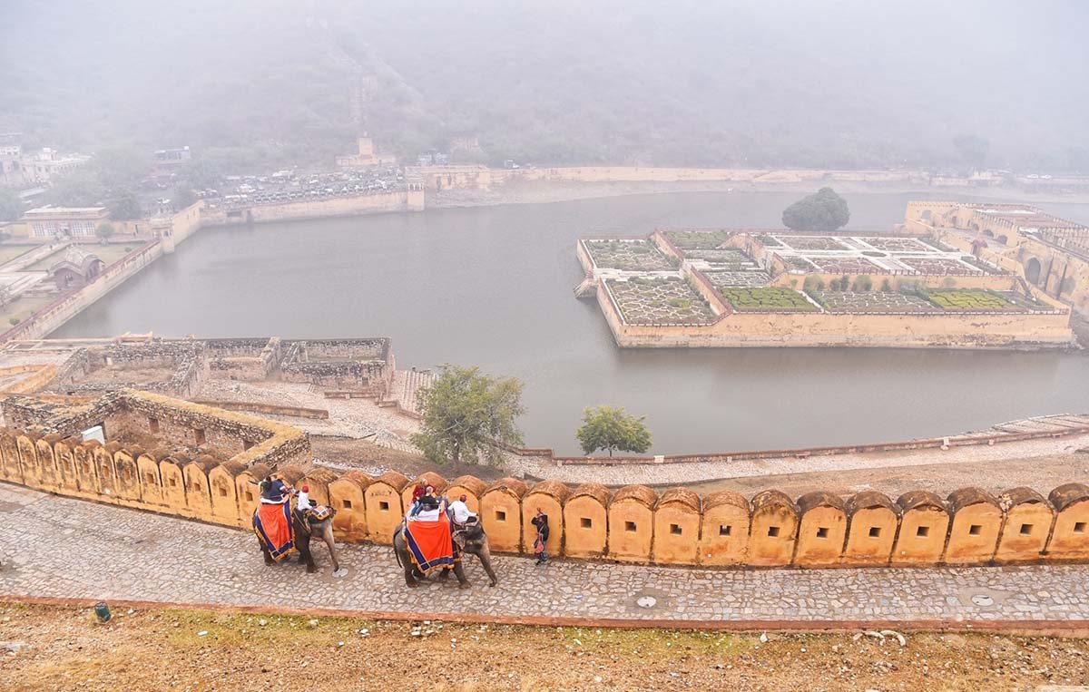 At-Rajasthans-Amer-Fort-Elephant-Gouris-Rides-Halted. India West