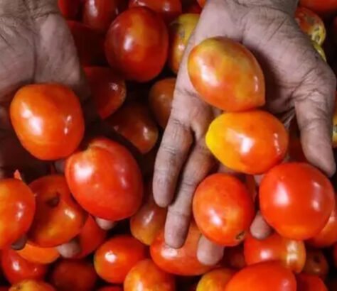 Dealing-With-Price-Rise-Expat-Flies-To-India-With-10kg-Tomatoes-In-Suitcase India West