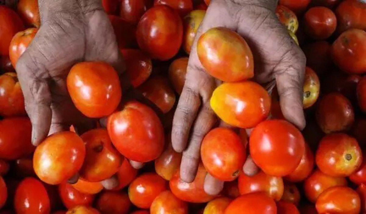 Dealing-With-Price-Rise-Expat-Flies-To-India-With-10kg-Tomatoes-In-Suitcase India West