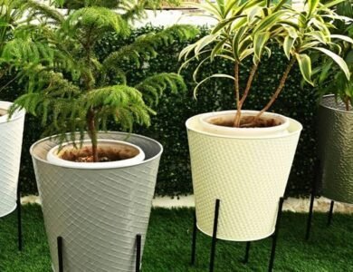 5 Tips To Creating A Green Corner In Every Room