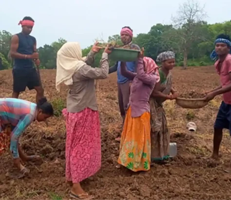 Commentary. South Asia Economy Has Promise, Is Complex