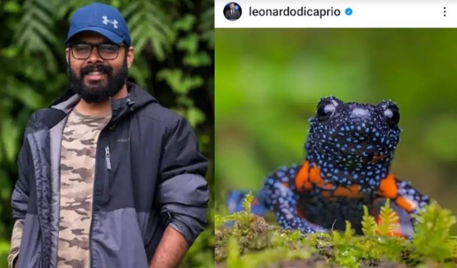 Leo Dicaprio Shares Picture Shot By Indian Researcher In Western Ghats