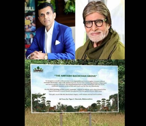 On Big B’s 81st, Anand Pandit Dedicates 8,100 Trees To Megastar