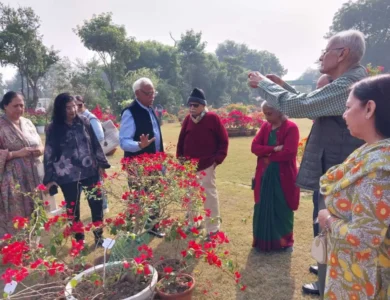 Agra-Wants-To-Become-‘Bougainvillea-Capital-Of-India