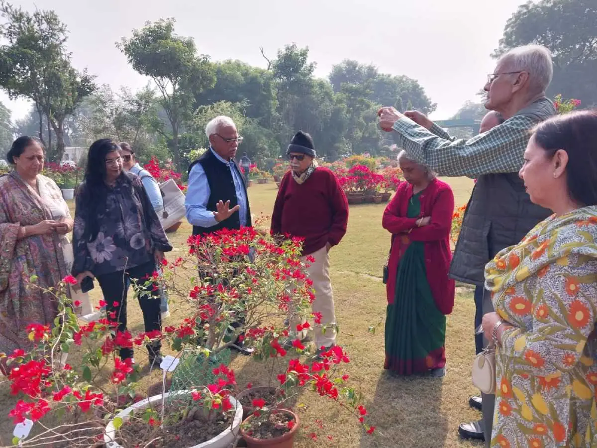 Agra-Wants-To-Become-‘Bougainvillea-Capital-Of-India