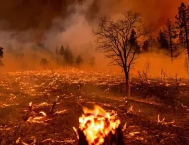 Climate-Change-Will-Lengthen-Fire-Seasons-Study