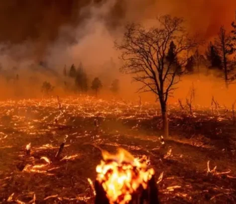 Climate-Change-Will-Lengthen-Fire-Seasons-Study