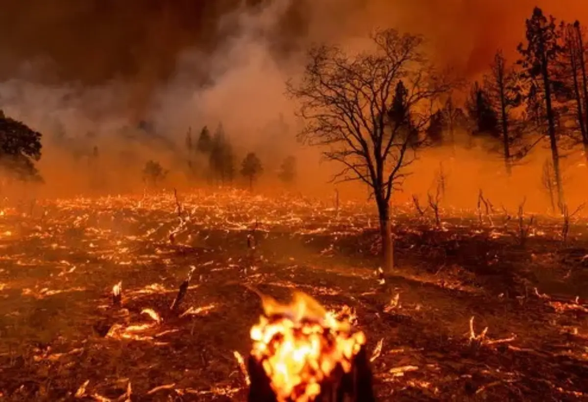 Climate-Change-Will-Lengthen-Fire-Seasons-Study