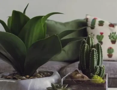 Gen-Z-And-Green-Homes-For-A-Sustainable-Tomorrow