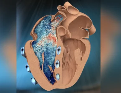 MIT-Engineer-Designs-Replica-Of-Hearts-Right-Chamber.webp