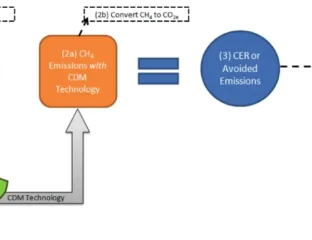 Oil-Rich-UAE-Acquiring-Carbon-Credits-In-Africa