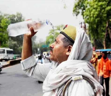 Gujarat's Climate Crisis: Alarming Heat Waves, Extreme Weather