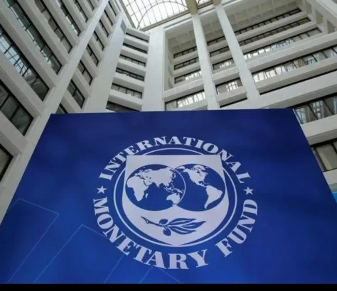 IMF Forecasts 'Soft Landing' For Global Economy, Upgrades India
