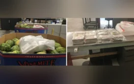 Woman Truck Driver Nabbed At Montana Border For Trafficking