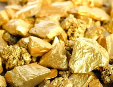 A First - Rajasthan To Auction Gold Mines
