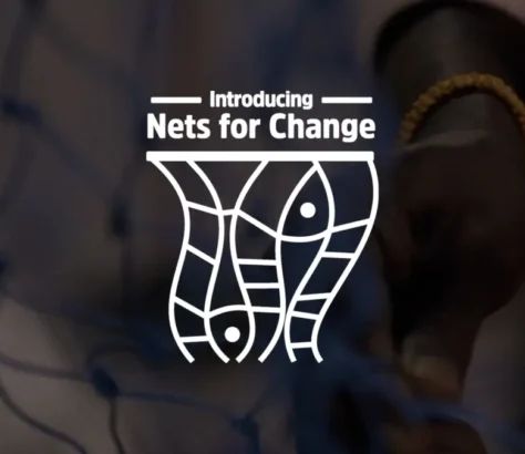 Marine Pollution: NBA To Repurpose Discarded Fishing Nets In India