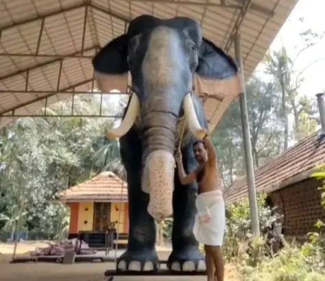 Robotic Elephant For TN Temple!