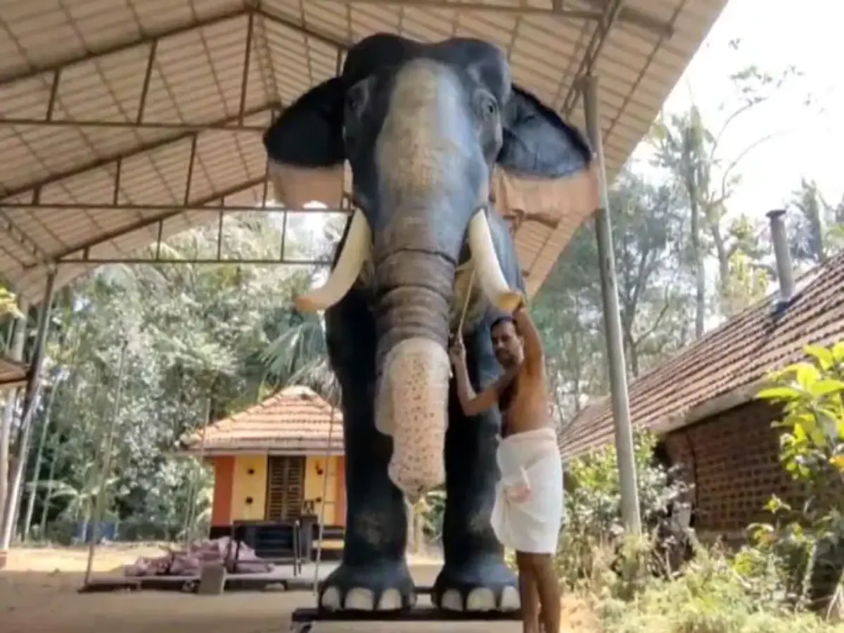 Robotic Elephant For TN Temple!
