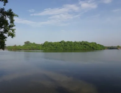 TN Has The Most Number Of Ramsar Sites