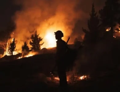 Texas Wildfire Prompts Nuclear Facility Closure