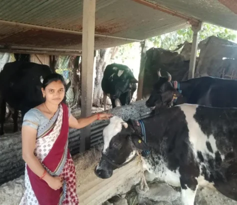 WI-Company-Helping-Modernize-Dairy-Farming-In-Wardha.webp