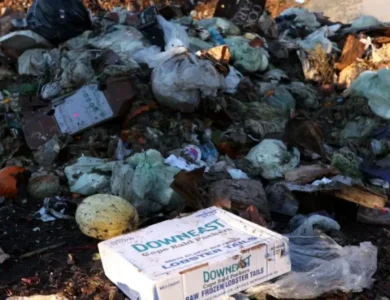 Households Waste Over 1 Billion Meals A Day: UN