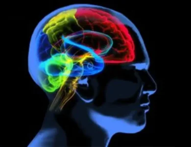 Polyglot's Brain Works Differently With Native Language: MIT Study