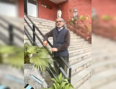 Rootedness & Rootlessness, Artist Dhaliwal’s Varied Tales