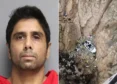 Dharmesh-Patel-Had-Mental-Condition-When-Driving-Tesla-Off-Cliff-Say-Docs.webp