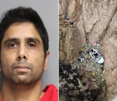 Dharmesh-Patel-Had-Mental-Condition-When-Driving-Tesla-Off-Cliff-Say-Docs.webp